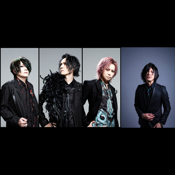defspiral+JOE（hide with Spread Beaver）